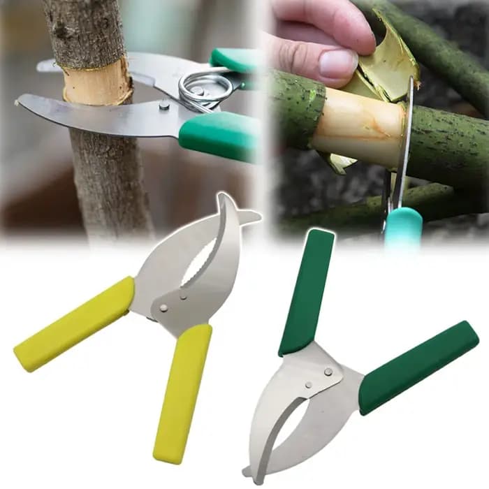 Outil de coupe de greffage en forme d'anneau de jardin, ciseaux de coupe de greffage, verger, épluch