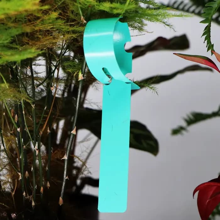 Marqueurs de plantes à anneau rectangulaire de jardin, étiquettes suspendues en pot, carte d'identif
