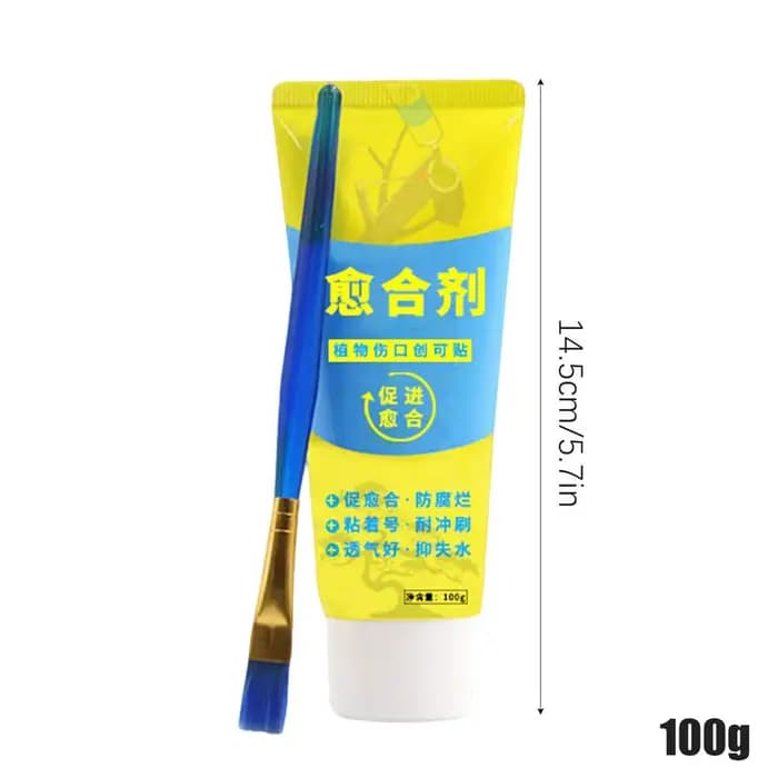 Pâte découpée pour bonsaï, 100g, Agent de frottis, composé d'élagage, scellant avec brosse, greffage