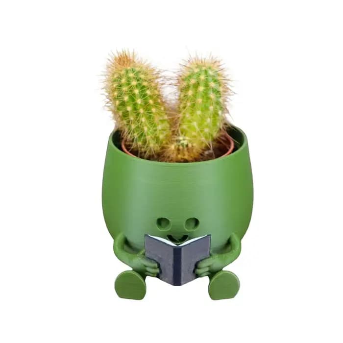 Pot de plante en résine avec visage souriant, pots succulents, jardinière de tête de fleur pour inté