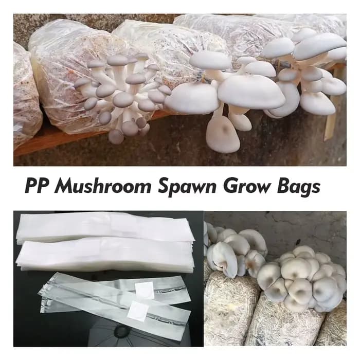 Kit de plantation de champignons de ferme de jardin d'épaisseur de 0.05mm substrat de frai de champi