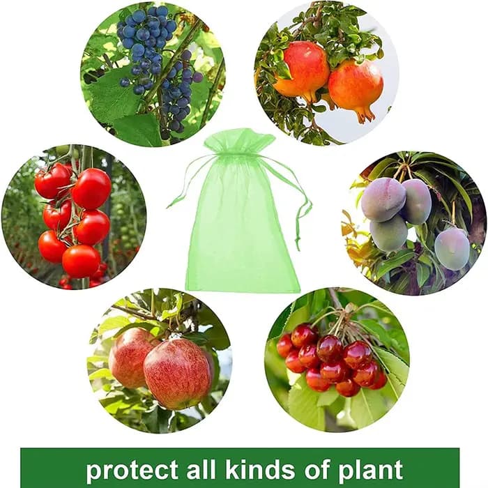 Sacs de Protection des raisins avec cordon de serrage, 100/50/20 pièces, sac en maille de Protection