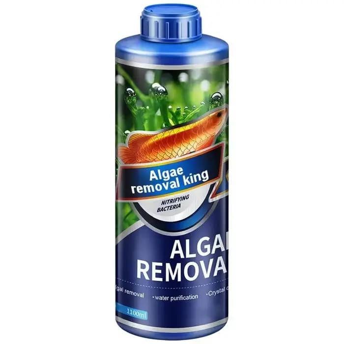 Dissolvant d'algues aquatiques pour aquarium, élimine les algues vertes, pour étang à poissons, élim