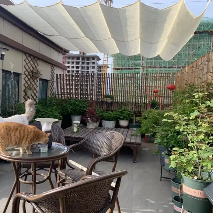 Filet pare-soleil ondulé rétractable, tissu HDPE anti-UV 18010195%, pergola de jardin, ombrage de pi