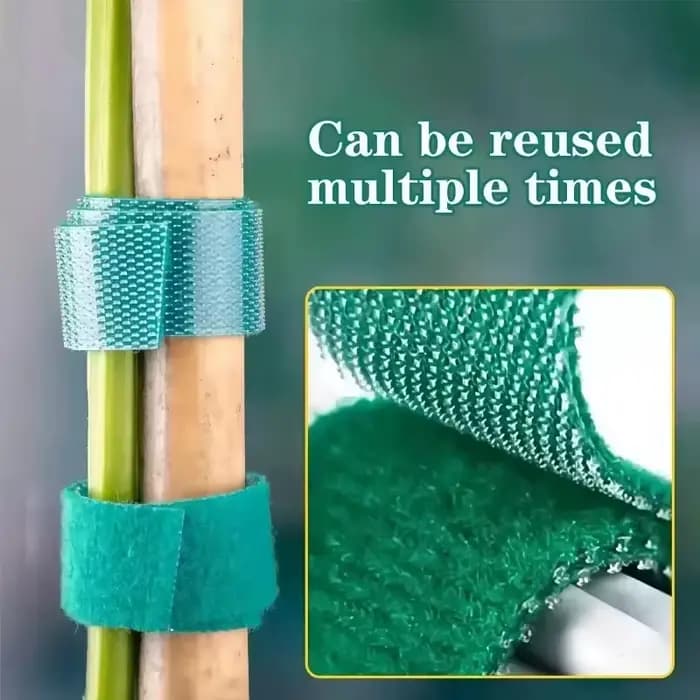 Bande de Support pour plantes en Nylon, attache de câble de fixation auto-adhésive pour plantes de j