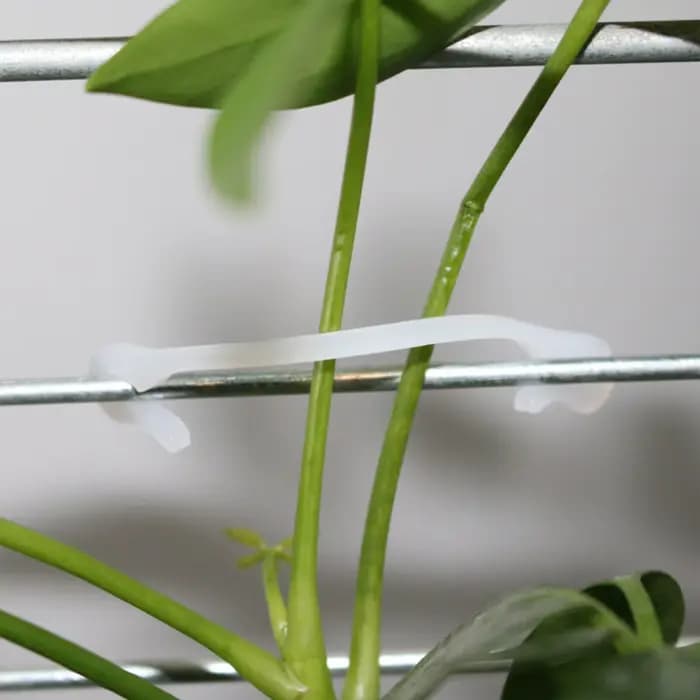 Clip de fixation pour plantes de vigne, 100 pièces, Clip de fixation pour plantes de jardinage, Clip