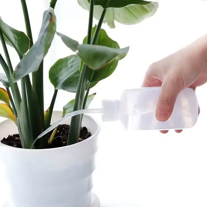 Arrosoir bonsaï pour plantes succulentes, 250/ 500ml, outil de jardinage à bec long