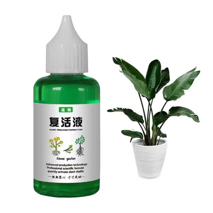 Liquide de résurrection pour plantes, 50ml, sol d'extérieur, plantes de culture, fertilisation des a