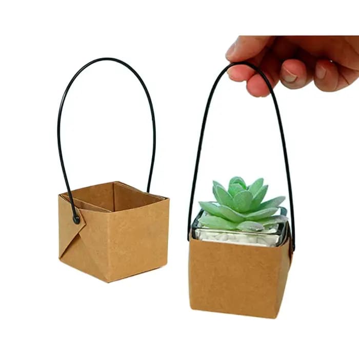 Boîte à plantes succulentes en pot en papier Kraft, 5 à 20 pièces, boîte en papier portable, décorat