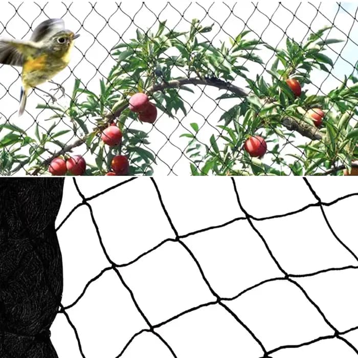 Nouveau 20mm trou noir HDPE maille verger légumes fraise cerise raisin fruits Anti oiseau filet étan