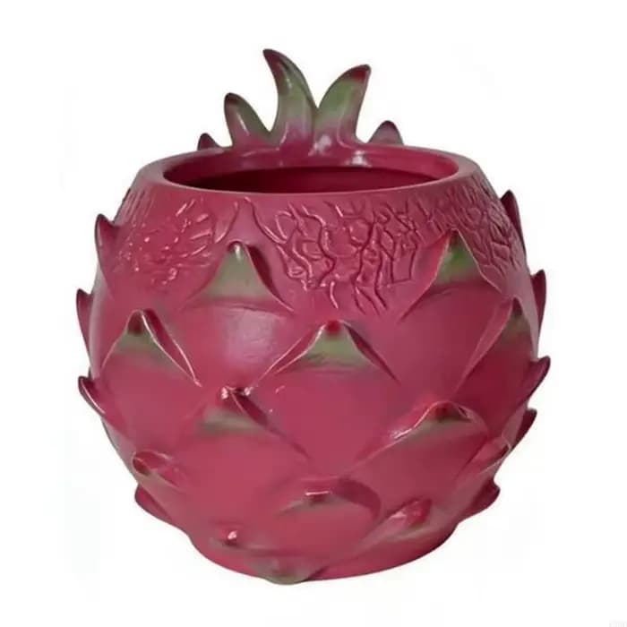 Pots plantes succulentes, jardinière plantes succulentes en forme Fruit Dragon, jardinière Pitaya fa