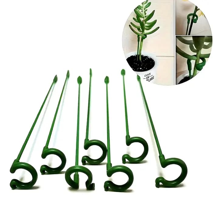 Support pour plantes en fibre de verre, 10 orchidées papillon, Support spécial pour Pot de fleur, ti