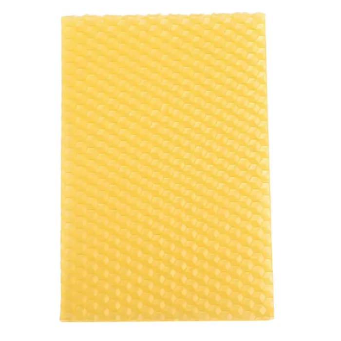 Ruche pour apiculture, 50 pièces, cadre de base en nid d'abeille, ruche de jardin, outils pour l'api