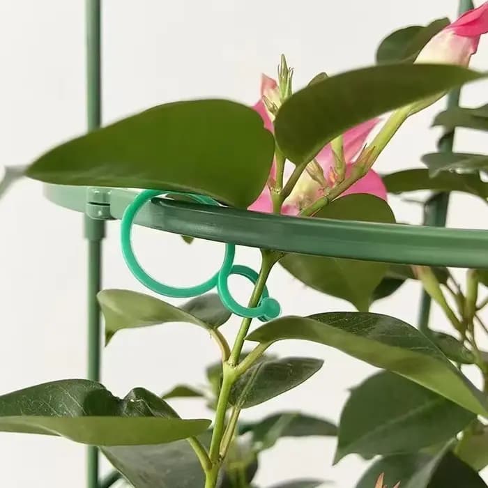 Clips pour plantes de jardin