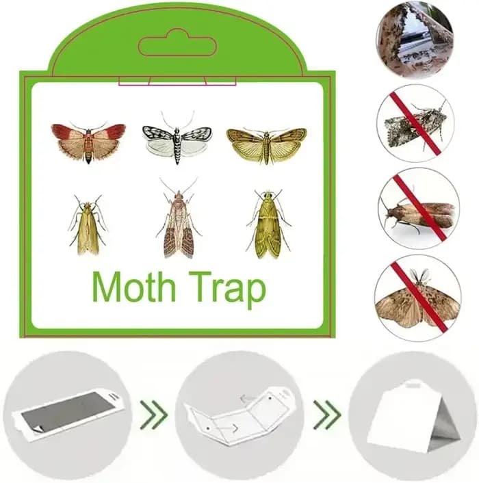 Pièges à papillons antiparasitaires