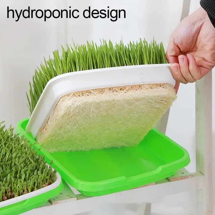 1 bac de germination avec trous de drainage