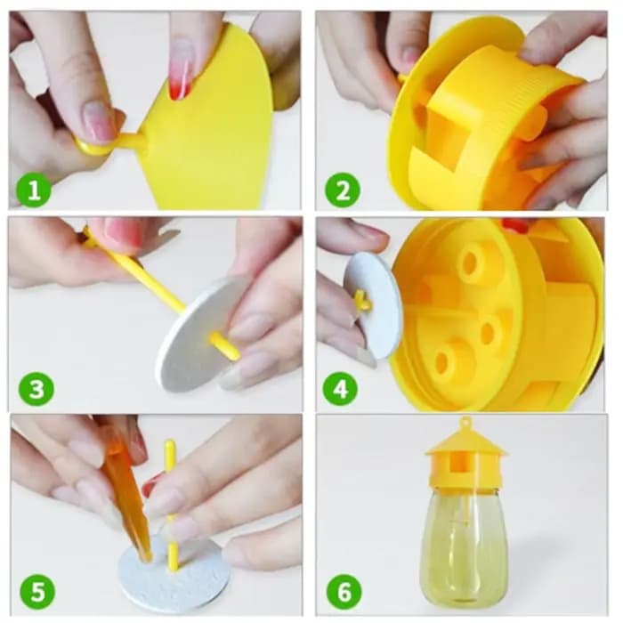 Piège à mouches en plastique pour fruits