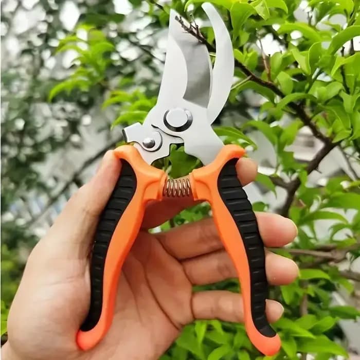 Outil de jardinage professionnel