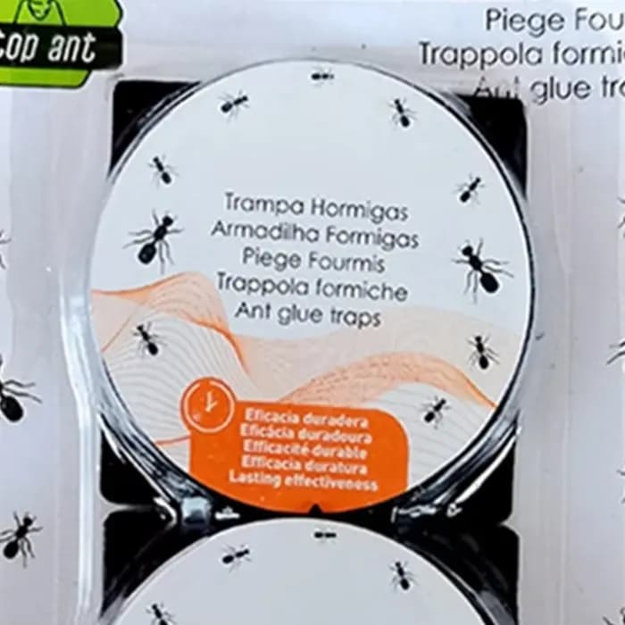 Pièges à fourmis d'intérieur