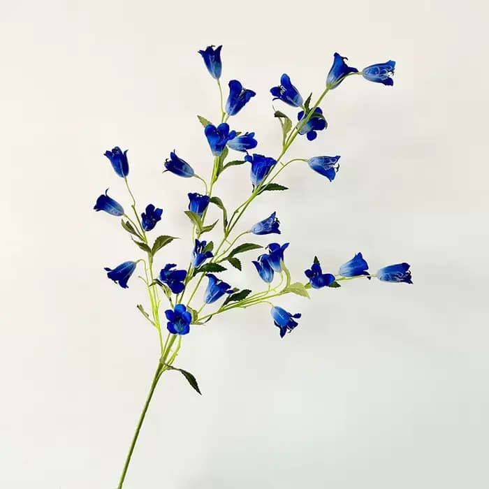 Fleur de lys des prés pour mariage