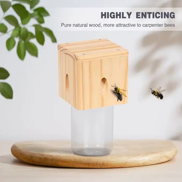 Piège à abeilles de charpentier pour l'extérieur