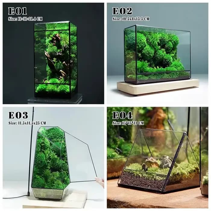 Mini terrarium écologique en verre pour forêt tropicale, mousse et fougères, carré, géométrique, miniatures, vase à plantes, conteneur, serre de table