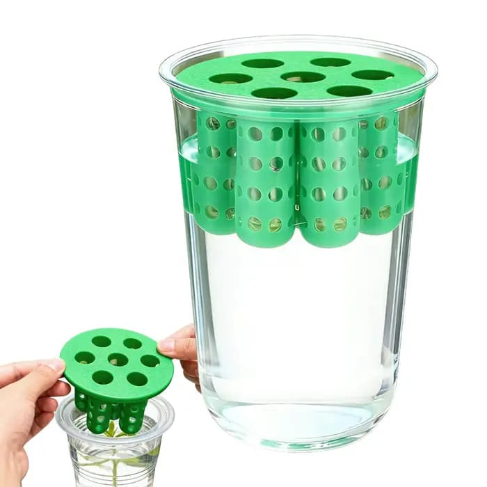 Kit de culture hydroponique réutilisable transparent pour oignon vert