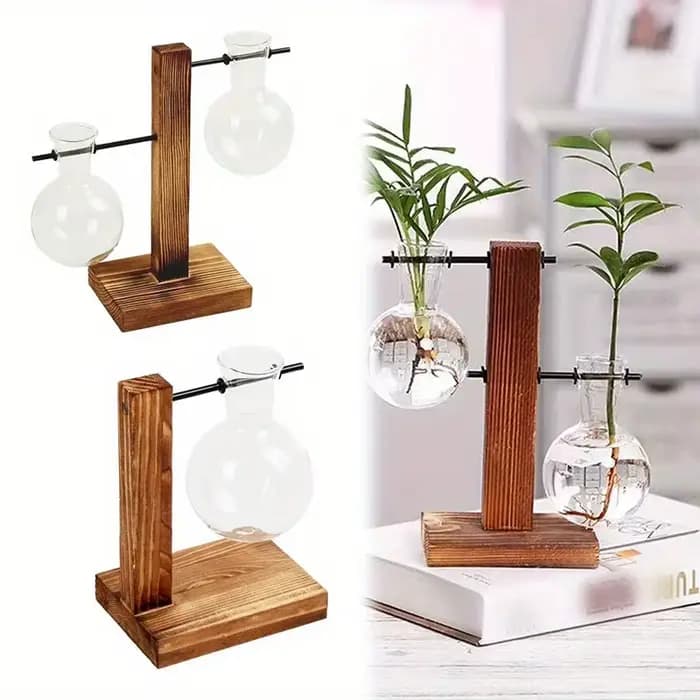 Vase en verre hydroponique