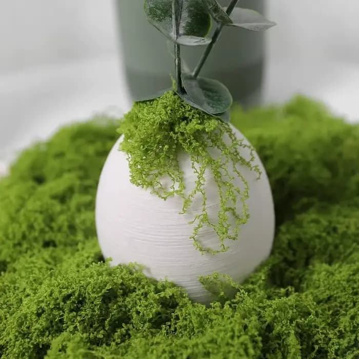 30/50/100g plantes vertes artificielles mousse herbe maison salon jardin décoration Mini paysage fausse fleur bricolage artisanat