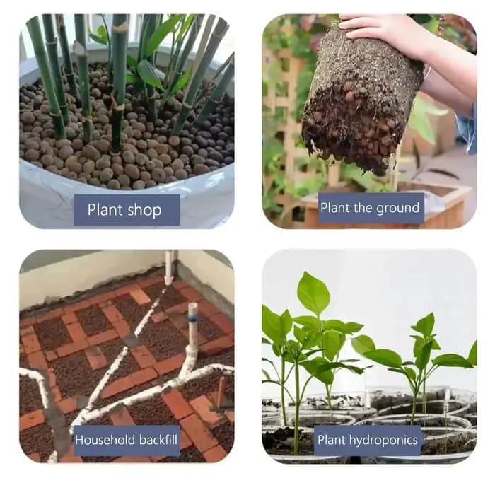 Boules Leca en argile pour plantes