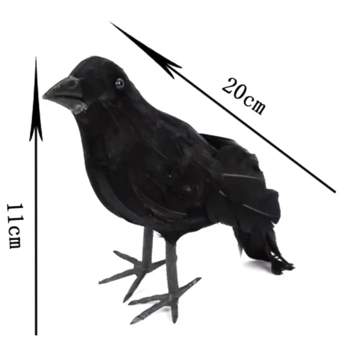 🌟 Corbeau noir de simulation