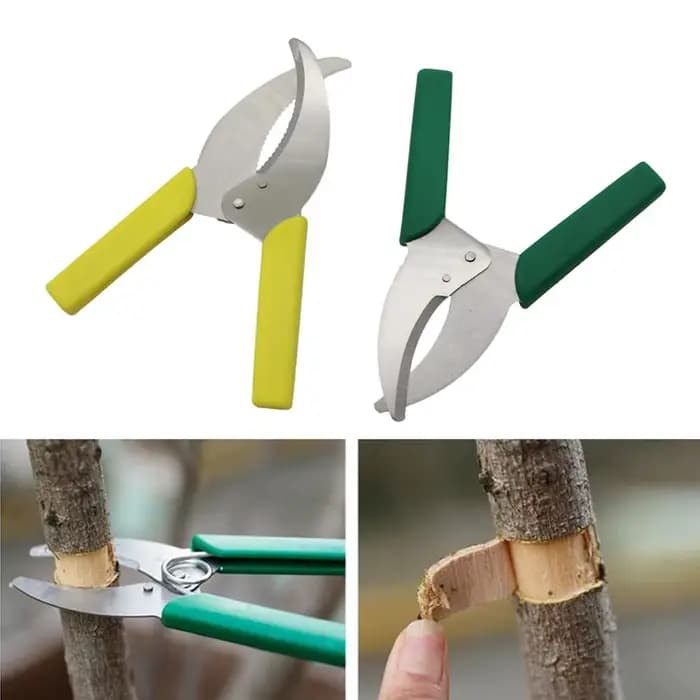 Couteau à éplucher tranchant