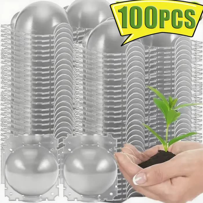Boule d'enracinement de plantes