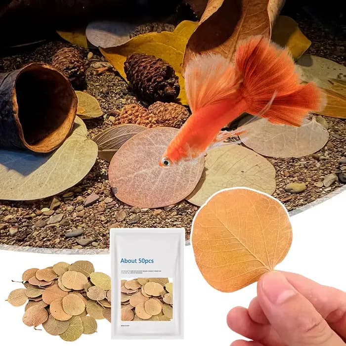 Filtre d'aquarium à feuilles naturelles