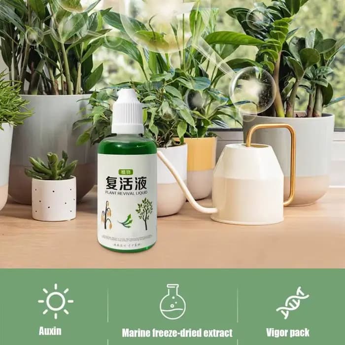 Agent d'enracinement succulent 50ml