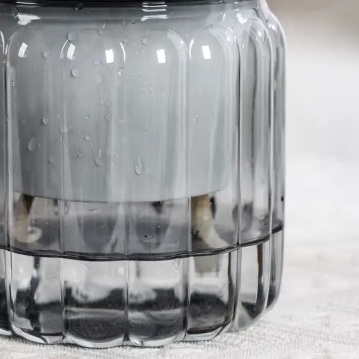 Pot de fleur Transparent au sol
