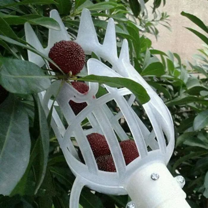 1 pièce Outil de cueillette de fruits en hauteur