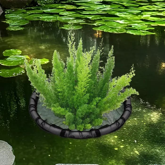 Île Flottante Ronde pour Bassin