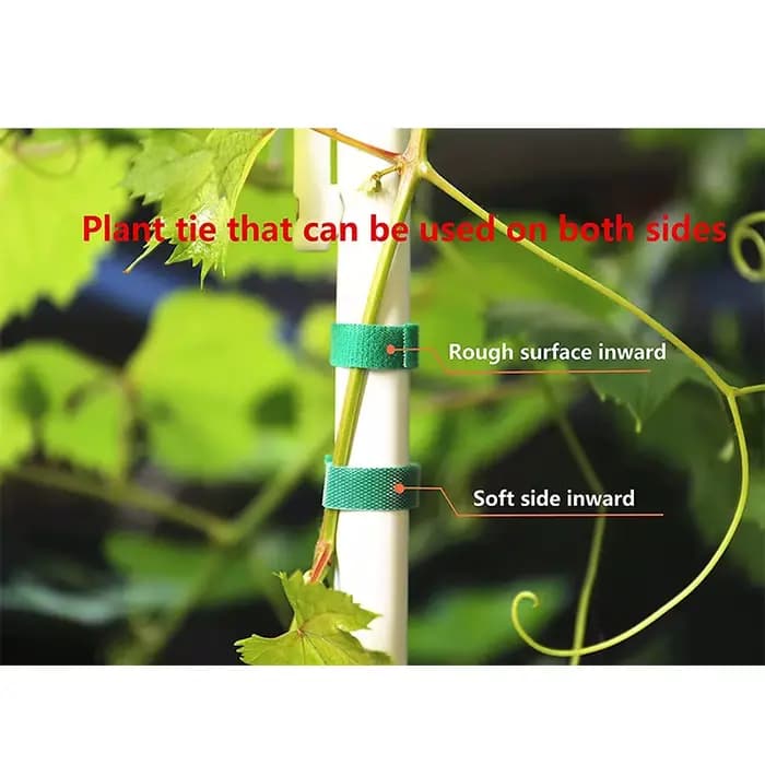 3 rouleaux de ficelle de jardin verte