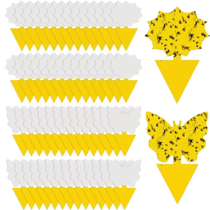 Pièges à mouches pour fruits
