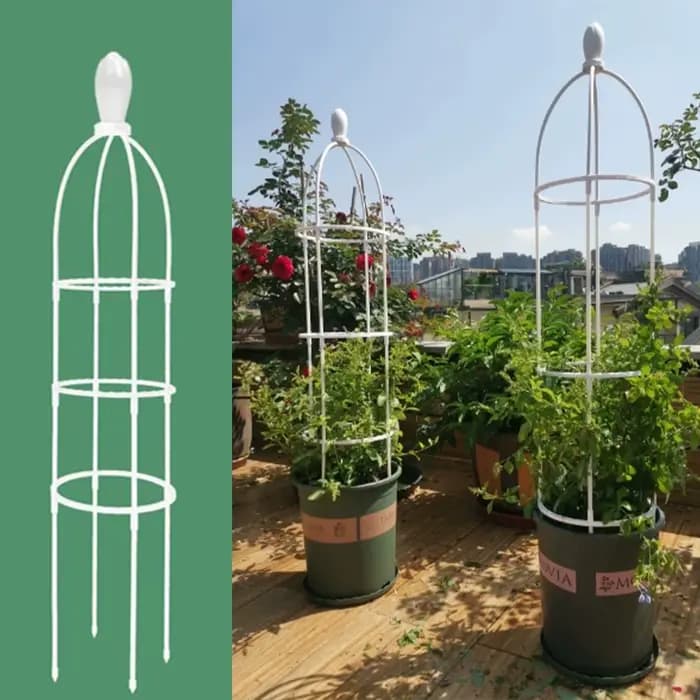 Obélisque de jardin en treillis pour plantes grimpantes