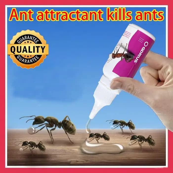 Gel anti-fourmis capable d'éliminer rapidement les fourmis