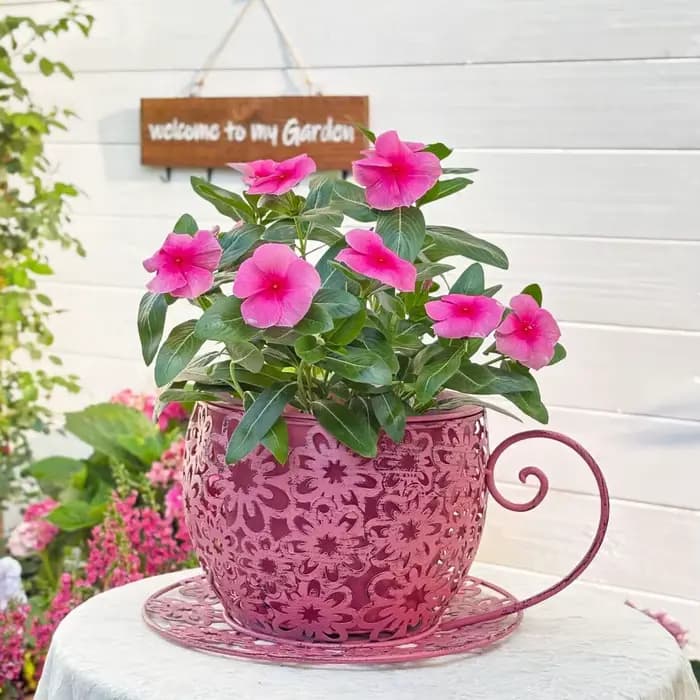 Pot de fleurs vintage en fer