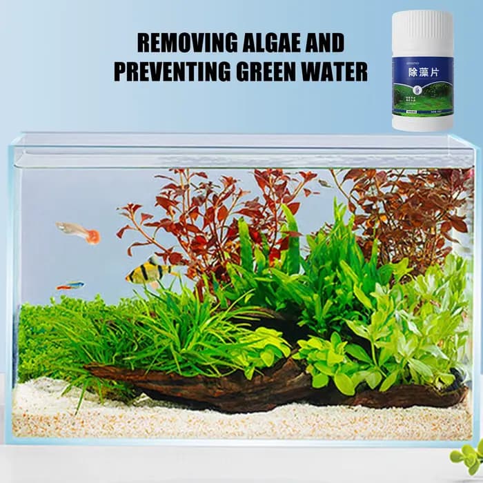 Comprimés d'élimination des algues pour Aquarium