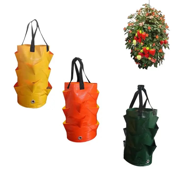 Sac de planteur de fleurs de pommes de terre