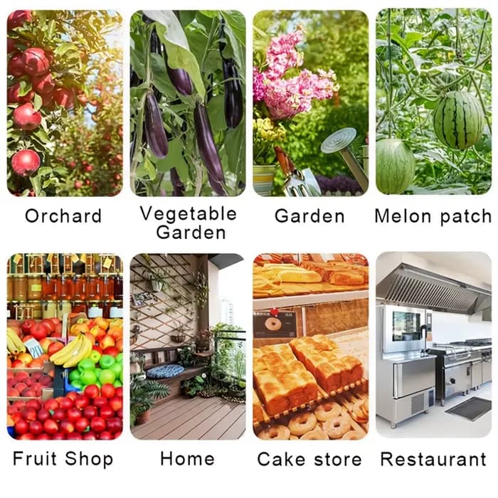 Pièges à mouches à fruits
