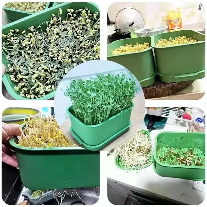 Pots de culture de légumes en plastique