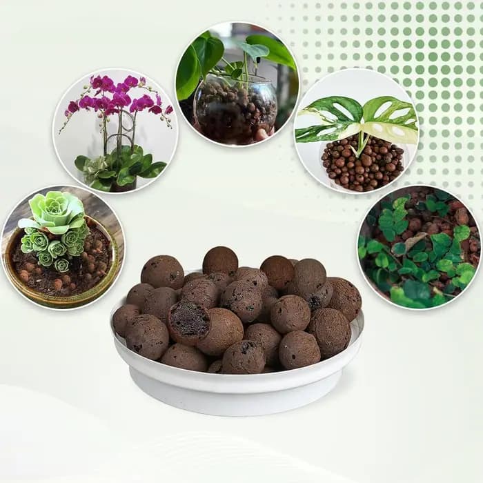 Boules d'argile organique 2L/1L