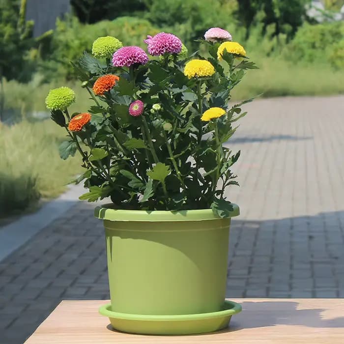 Grand pot de plantation en plastique PP épais