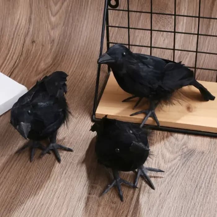 Simulation de corbeau noir